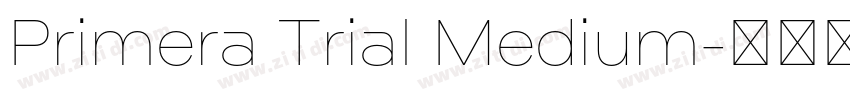 Primera Trial Medium字体转换